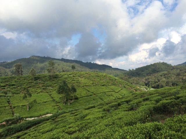 スリランカの中央高地
