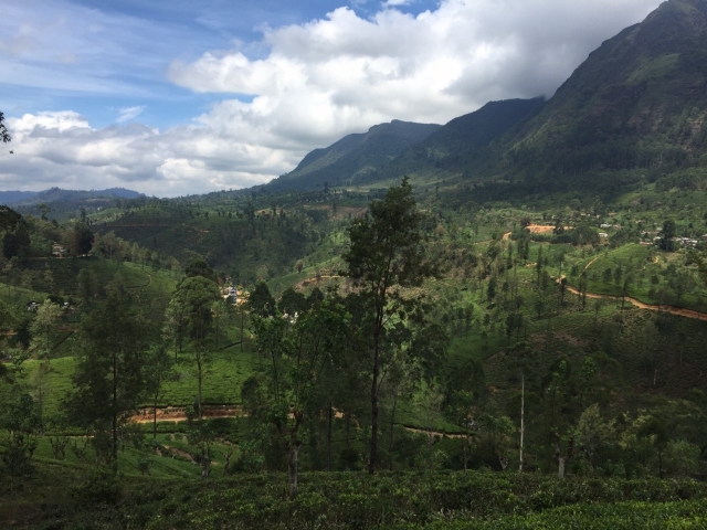 シンハラジャ森林保護区