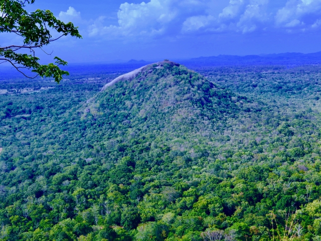 シンハラジャ森林保護区
